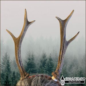 äkta horn på diadem - skogskraft krafthantverk